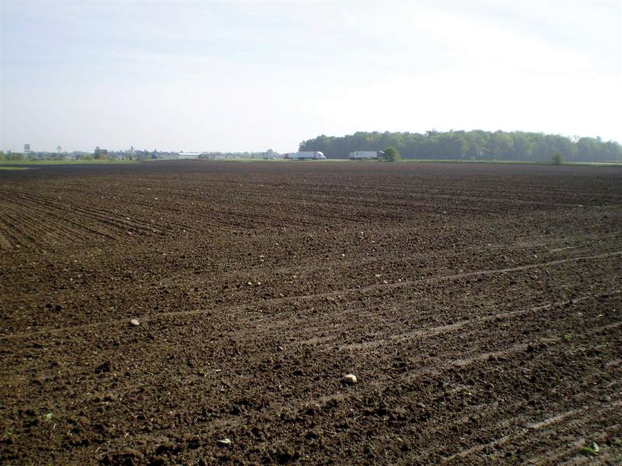 For sale: 46 Acres Quality Farmland - Southeast of Chesterfield, IN